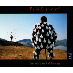 CD Pink Floyd - Delicate Sound of Thunder Live [Box 2 CD]
